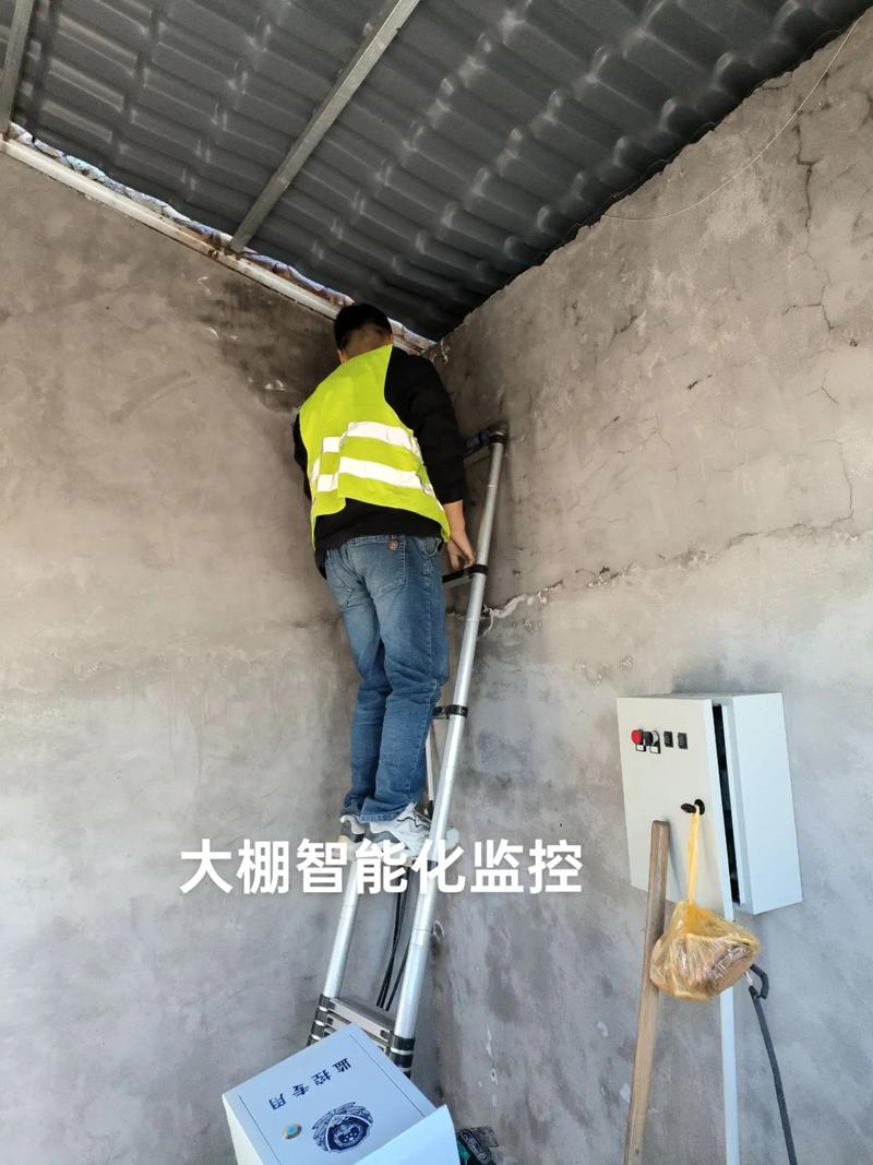 大棚智能化監(jiān)控?cái)z像頭,海康威視攝像機(jī)#智能化弱電工程 #海康